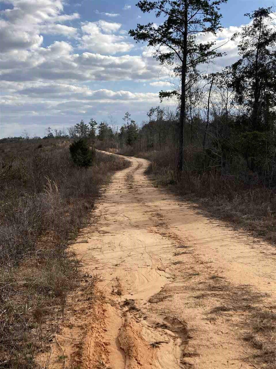 0 Smith County Road 11 Raleigh, MS 39153 - Photo 4 of 14 Photo 4
