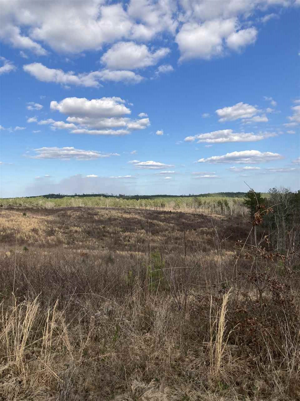 0 Smith County Road 11 Raleigh, MS 39153 - Photo 5 of 14 Photo 5