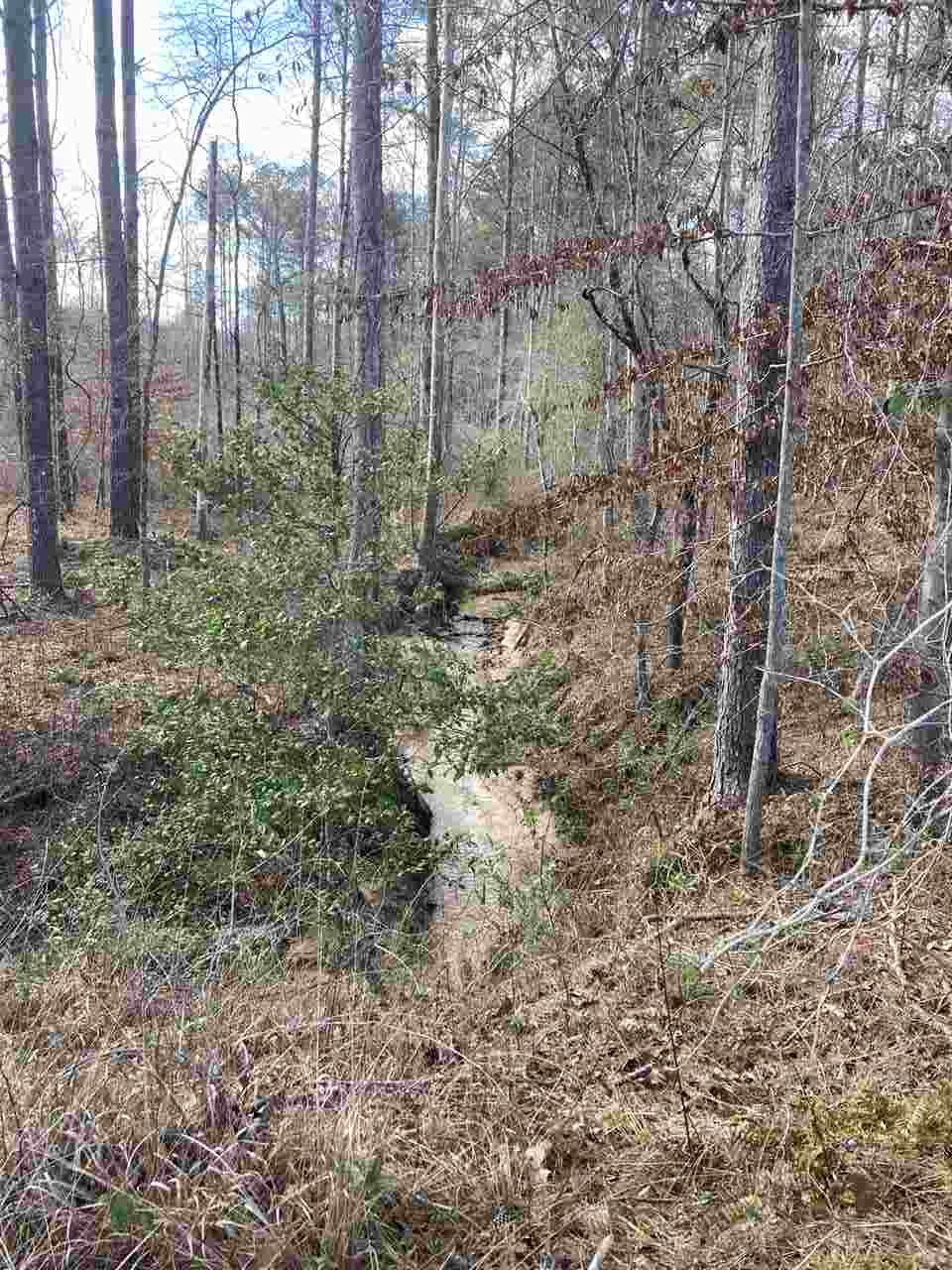 0 Smith County Road 11 Raleigh, MS 39153 - Photo 7 of 14 Photo 7