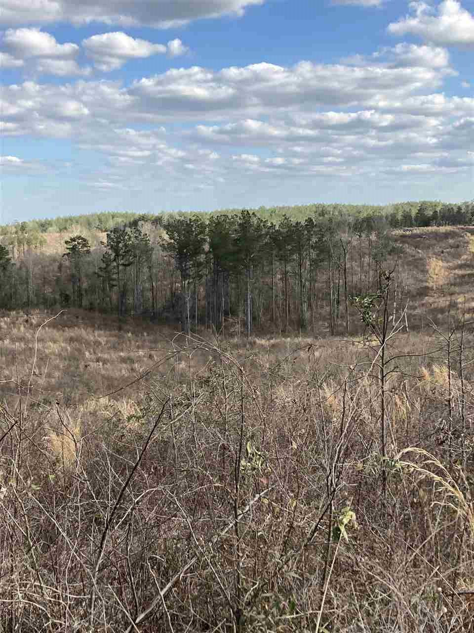 0 Smith County Road 11 Raleigh, MS 39153 - Photo 9 of 14 Photo 9