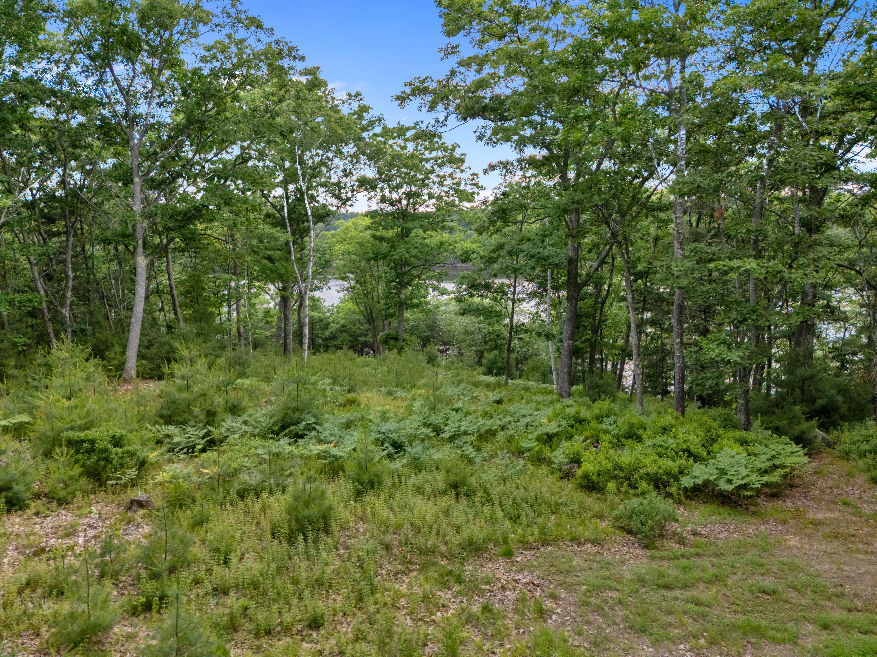 Lot 16 Captain John Parker Road Phippsburg, ME 04562 - Photo 22 of 29 DJI_20260619181136_0387_D