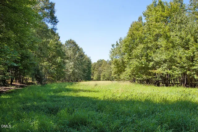 a view of outdoor space with trees