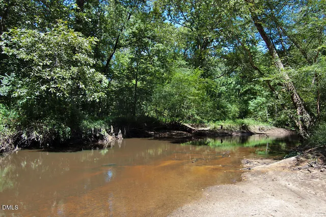a view of a lush green forest