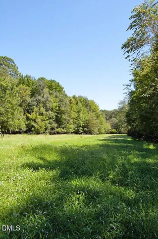a view of a backyard with large trees