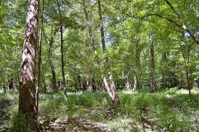 a view of lake with green space