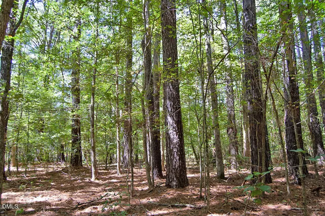 a view of a bird bath room