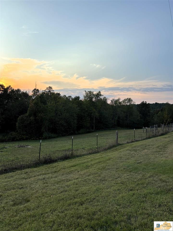 355 Edmonds Road Smiths Grove, KY 42171 - Photo 29 of 35 Gallery Image 29