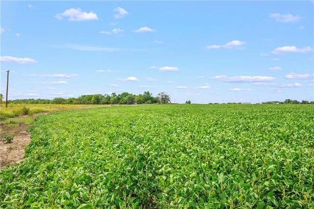 $63,000 | 40 Smasal Road, Sedalia, MO 65301