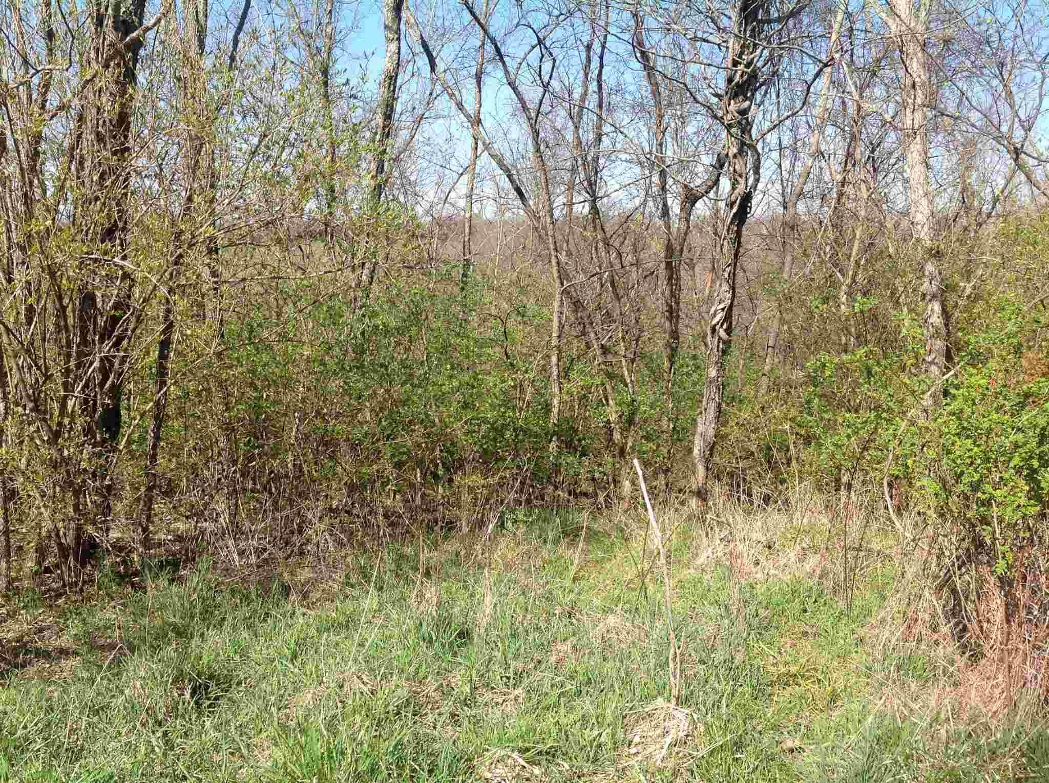 0 Johnsville-Foster Road Foster, KY 41043 - Photo 9 of 18 Gallery Image 9
