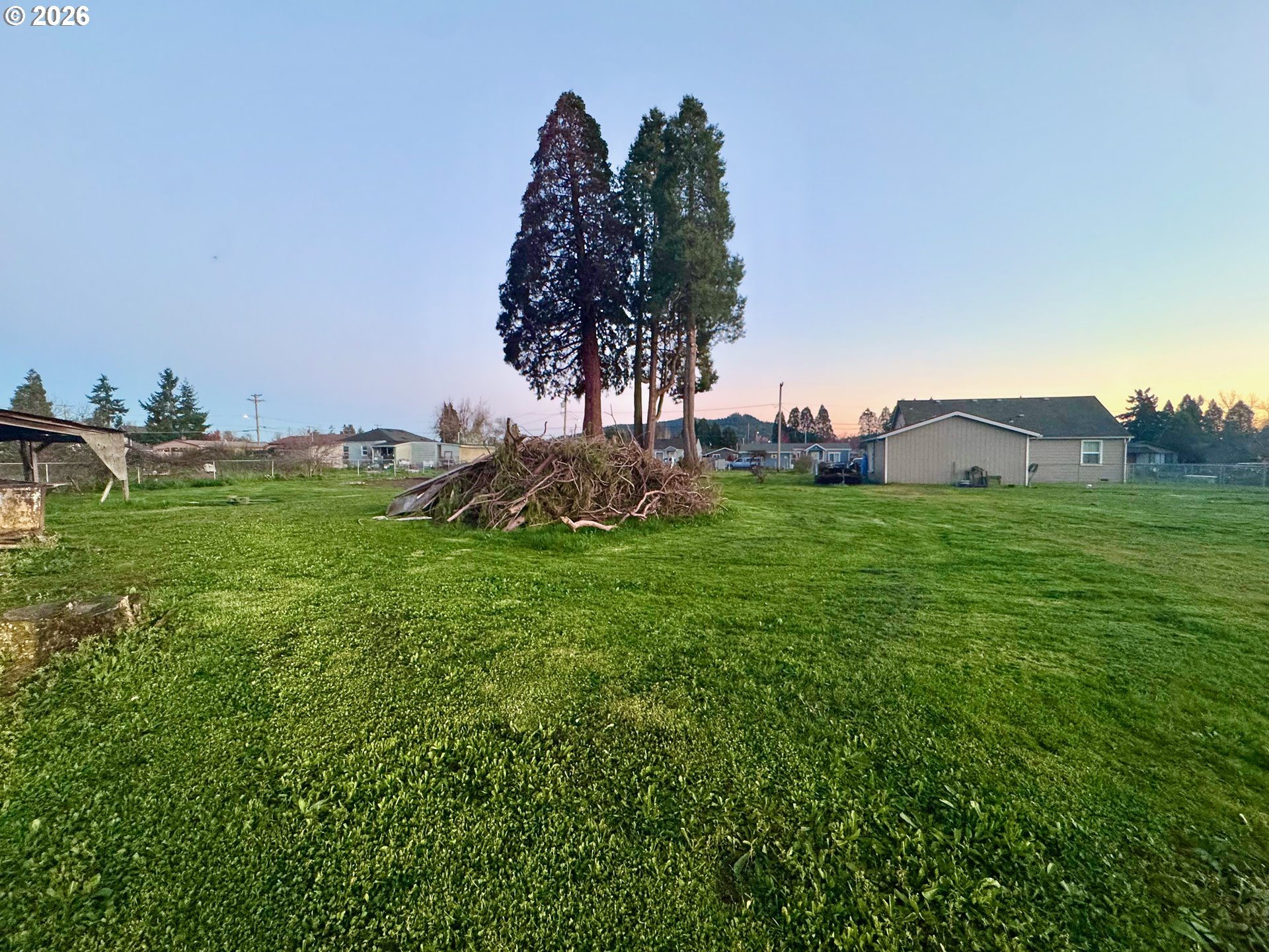 3720 Virginia Avenue Springfield, OR 97478 - Photo 4 of 4 a backyard of a house with lots of green space
