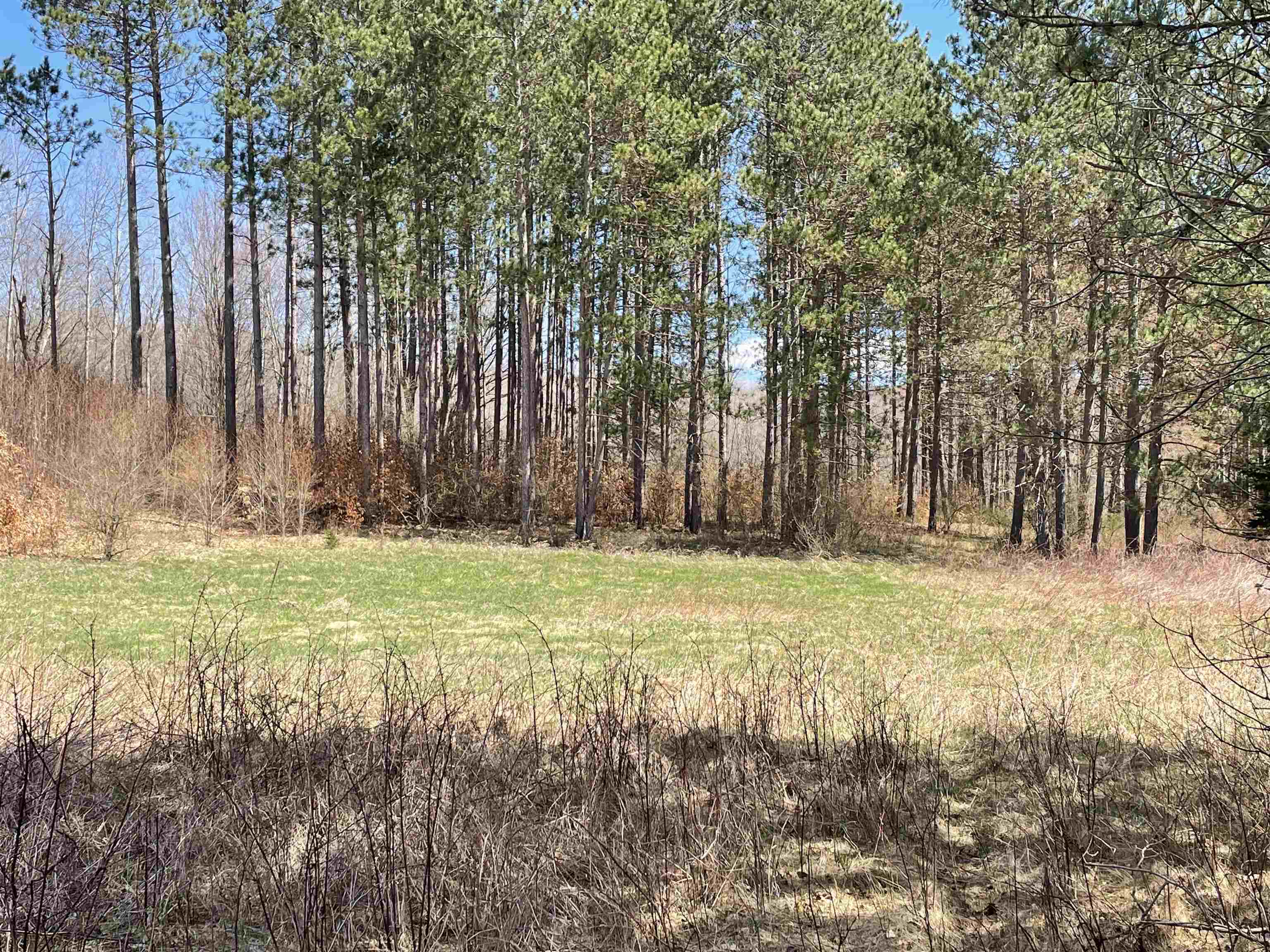 Na Maltby Road Lupton, MI 48635 - Photo 7 of 30