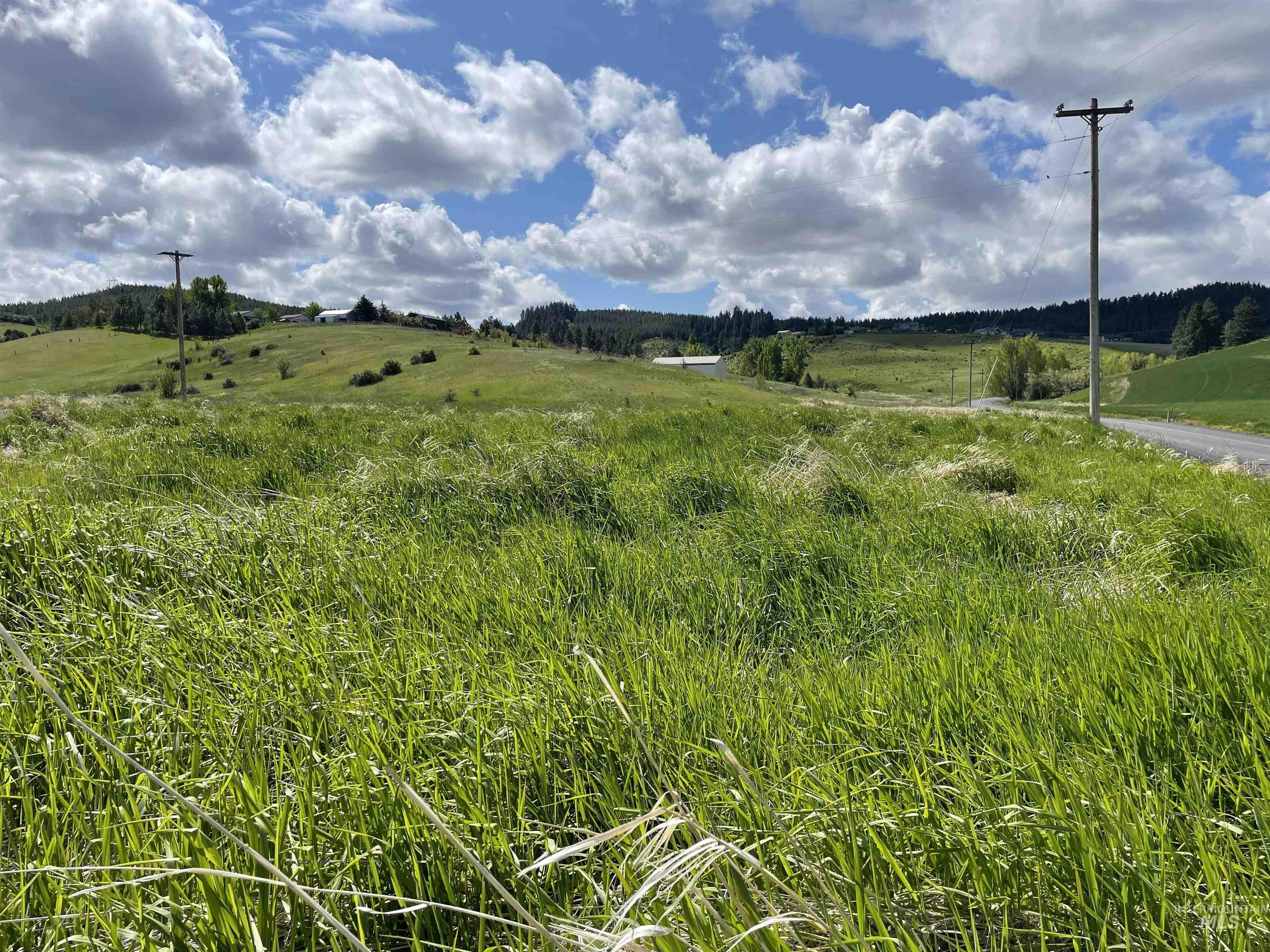 2590 Blaine Road Moscow, ID 83843 - Photo 11 of 37