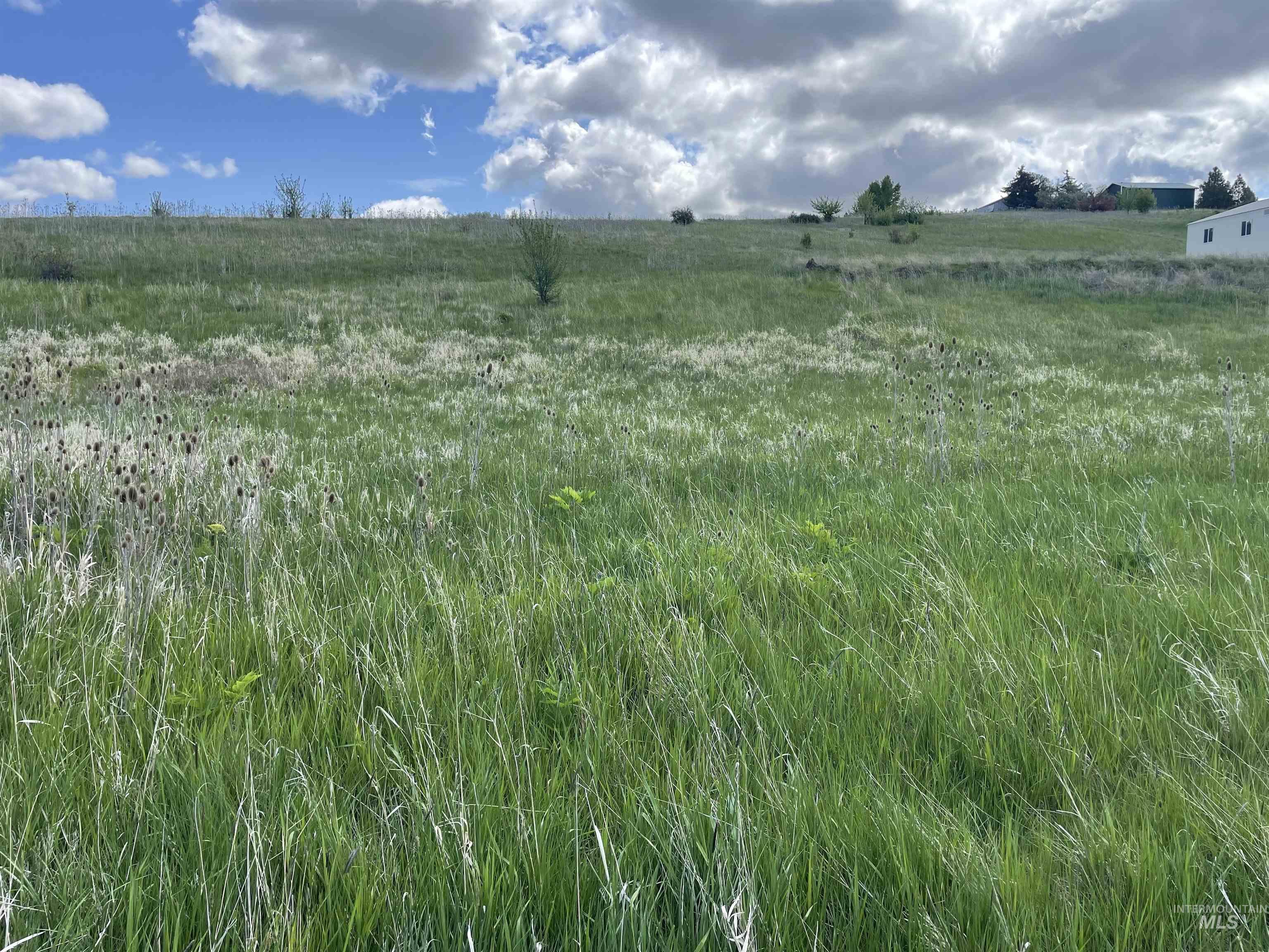 2590 Blaine Road Moscow, ID 83843 - Photo 15 of 37