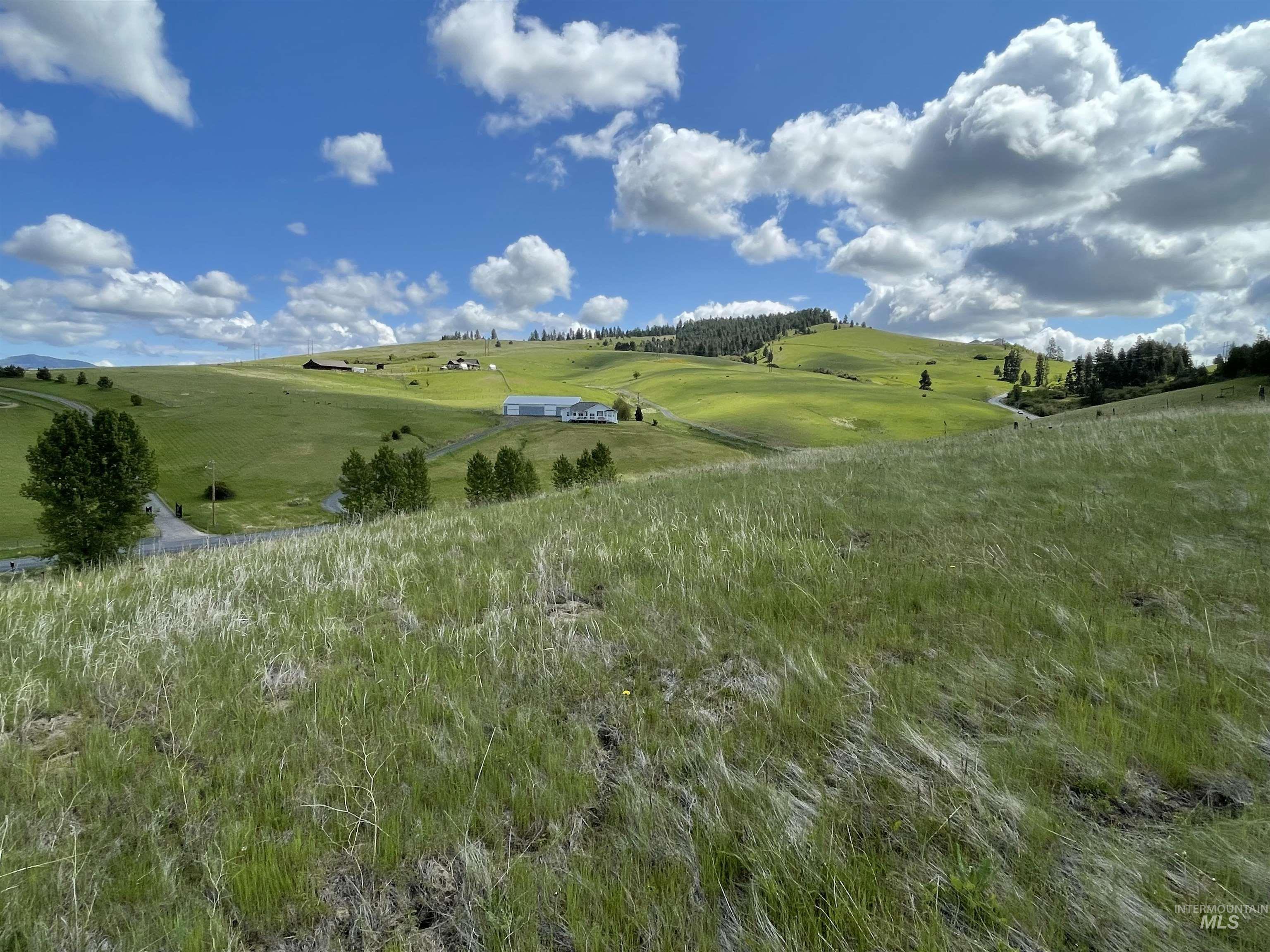 2590 Blaine Road Moscow, ID 83843 - Photo 22 of 37