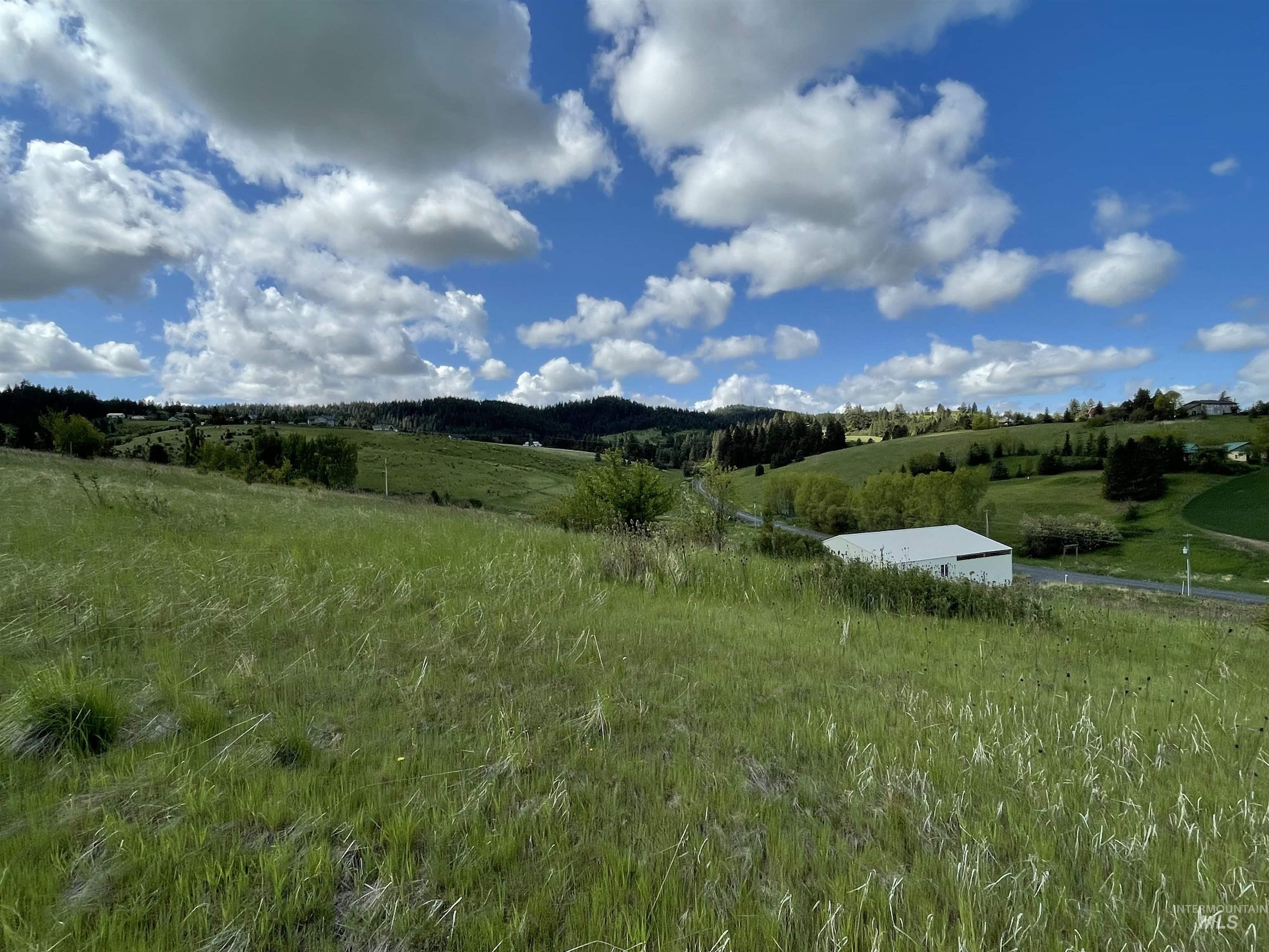 2590 Blaine Road Moscow, ID 83843 - Photo 26 of 37