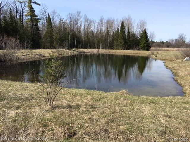 9635 Indian Reserve Road Alpena, MI 49707 - Photo 4 of 30 Gallery Image 4