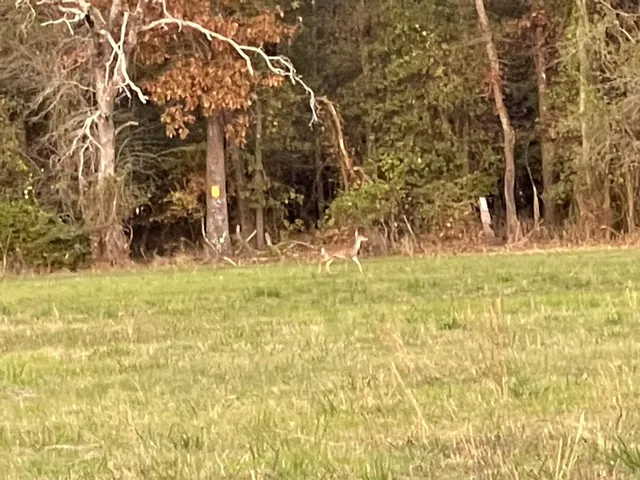 a view of an outdoor sitting area