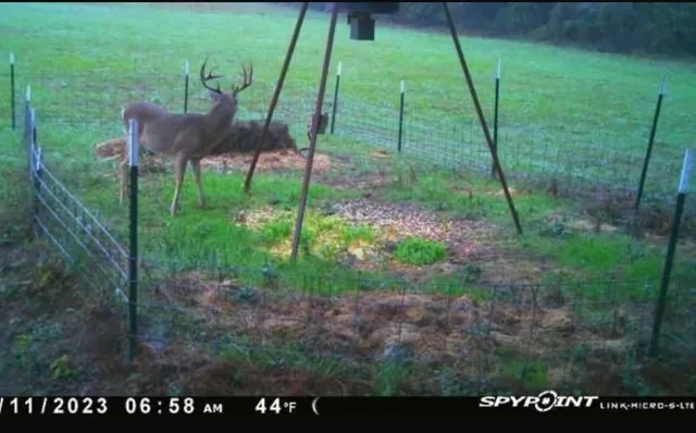 a view of mountain with lake view