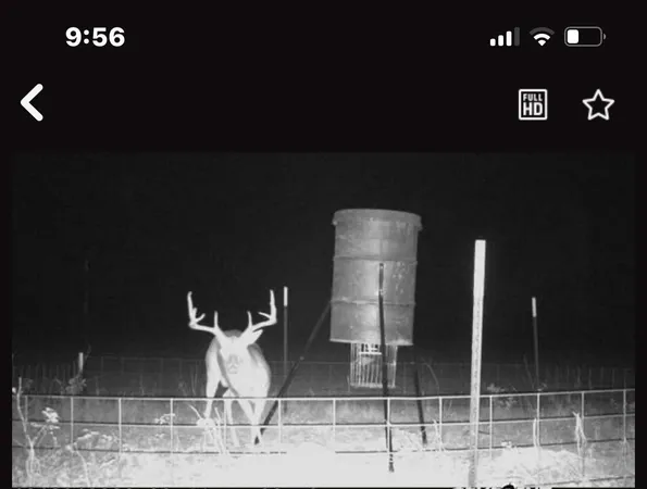 a view of an outdoor space and a yard
