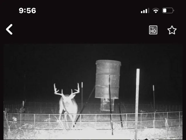 a view of an outdoor space and a yard