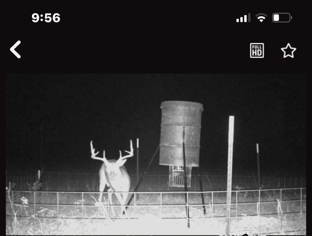 0 North Mcgee Bend Loop Anthony, TX 79821 - Photo 4 of 6