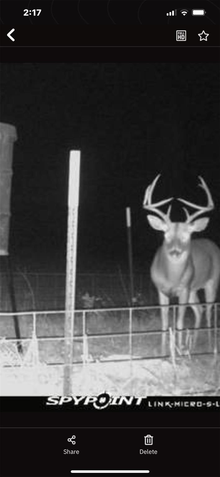 0 North Mcgee Bend Loop Anthony, TX 79821 - Photo 5 of 6 a bathroom with a sink and a mirror