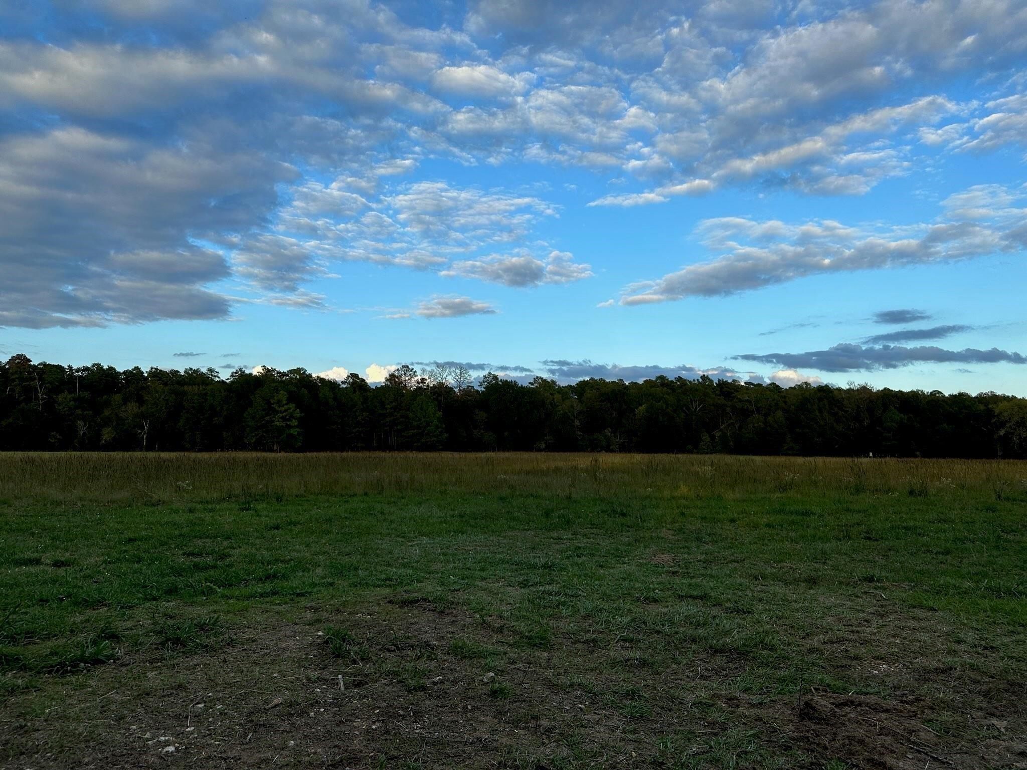 0 North Mcgee Bend Loop Anthony, TX 79821 - Photo 6 of 6 a view of an outdoor space and a yard