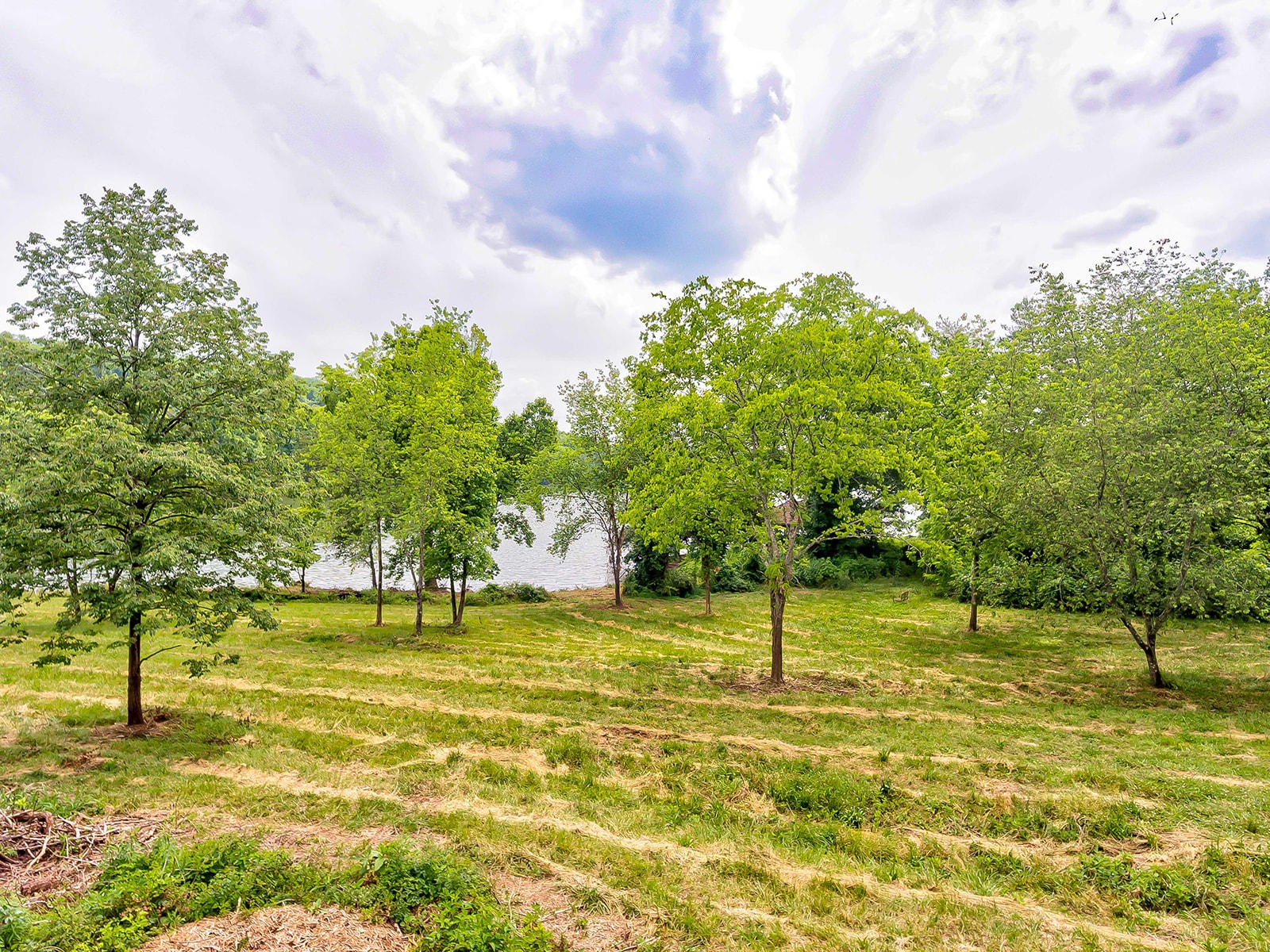 1 Emory Church Road Knoxville, TN 37922 - Photo 1 of 12 Gallery Image 1