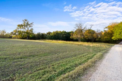 a view of a field with a tree