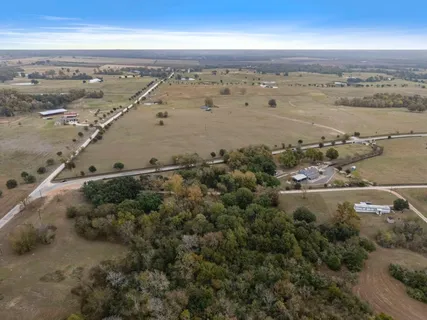a view of a field with a tree