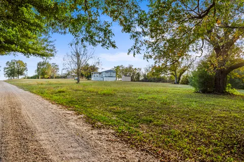 a view of a park with large trees