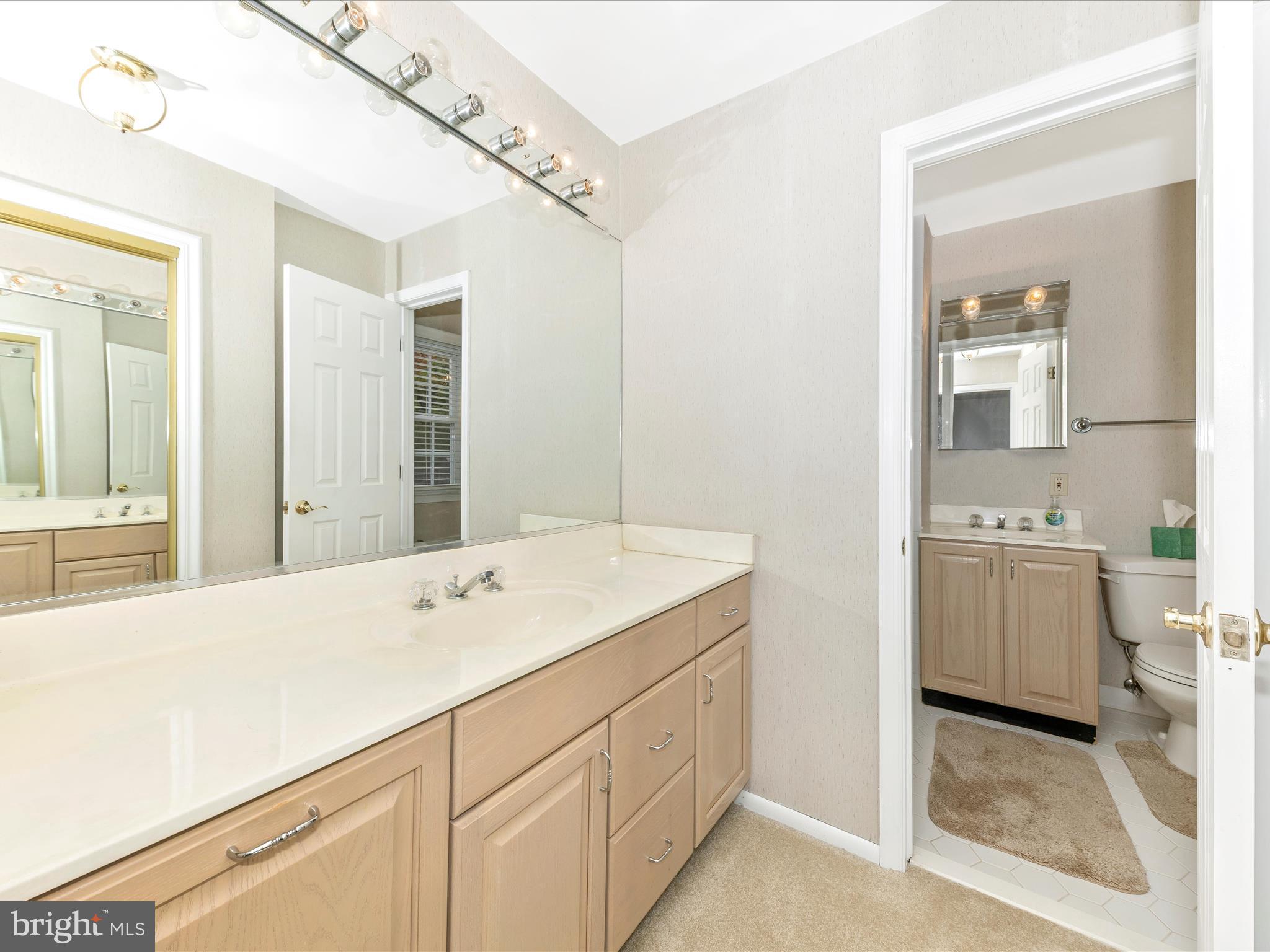 19325 Treadway Road Brookeville, MD 20833 - Photo 18 of 53 Primary Bathroom