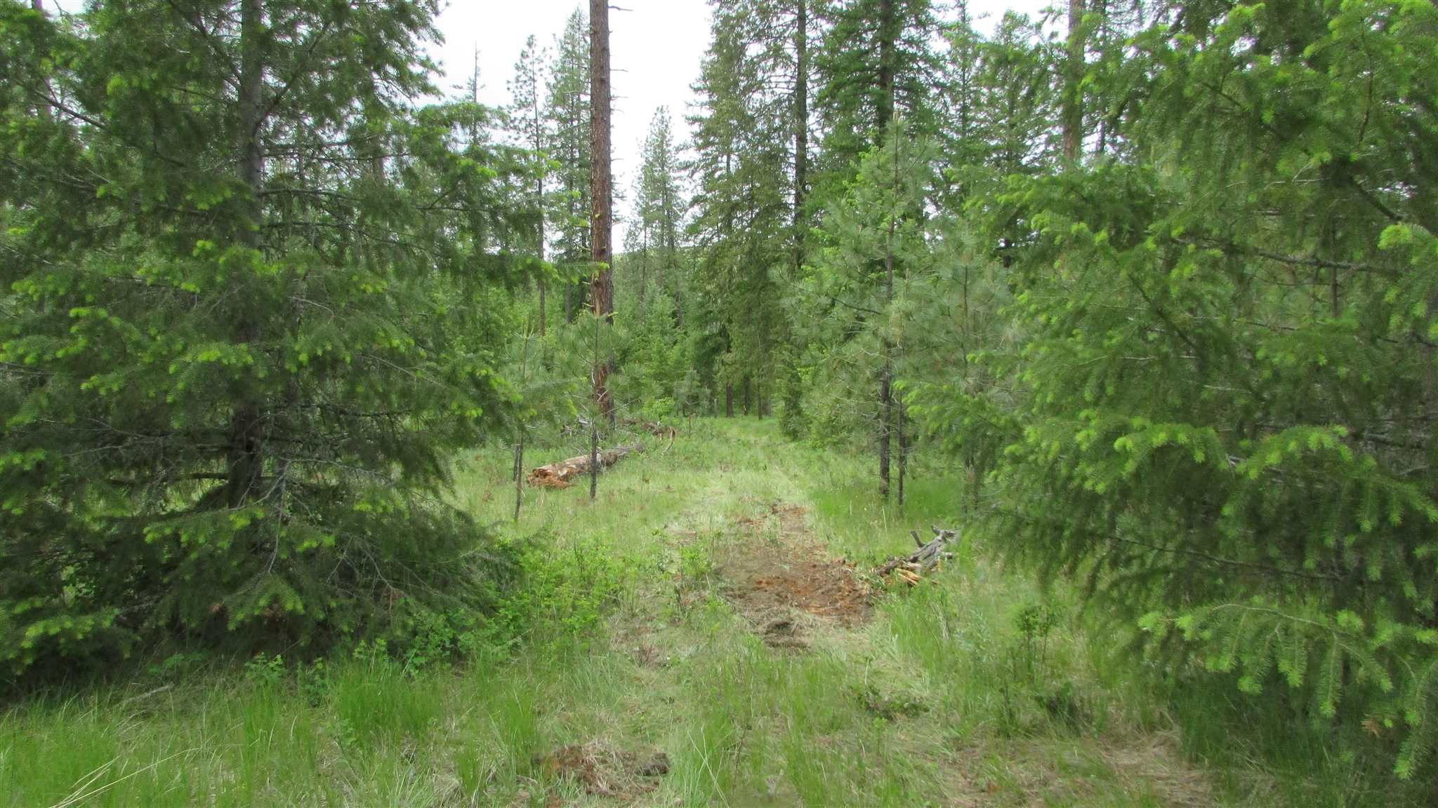 1393 Williams Lake Road Evans, WA 99126 - Photo 1 of 16