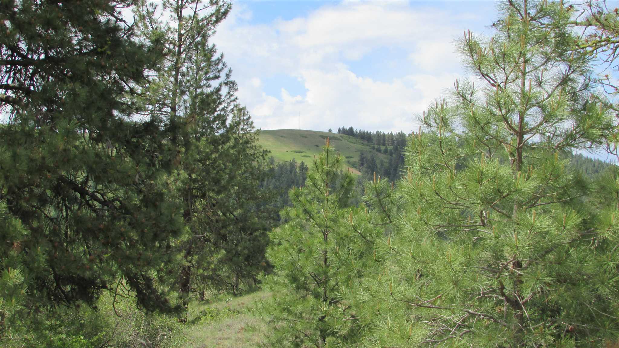 1393 Williams Lake Road Evans, WA 99126 - Photo 13 of 16