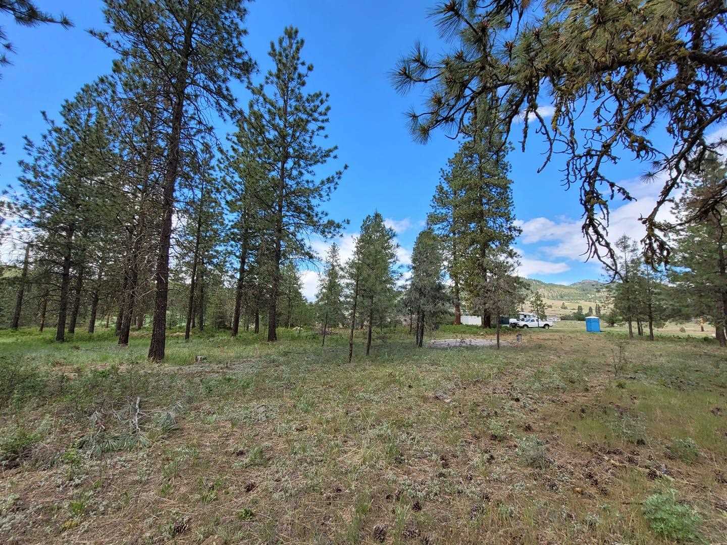 1393 Williams Lake Road Evans, WA 99126 - Photo 14 of 16