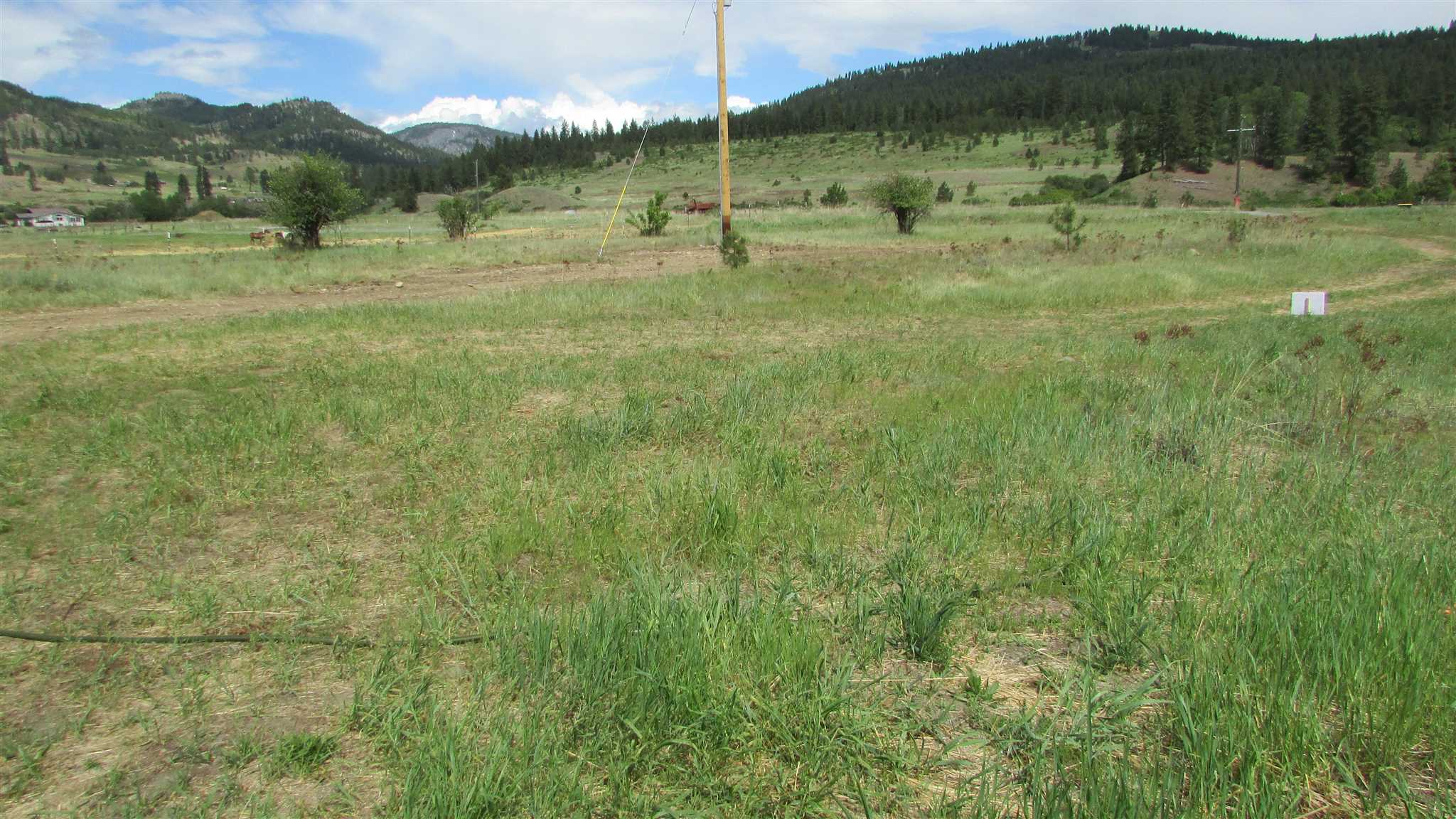 1393 Williams Lake Road Evans, WA 99126 - Photo 3 of 16