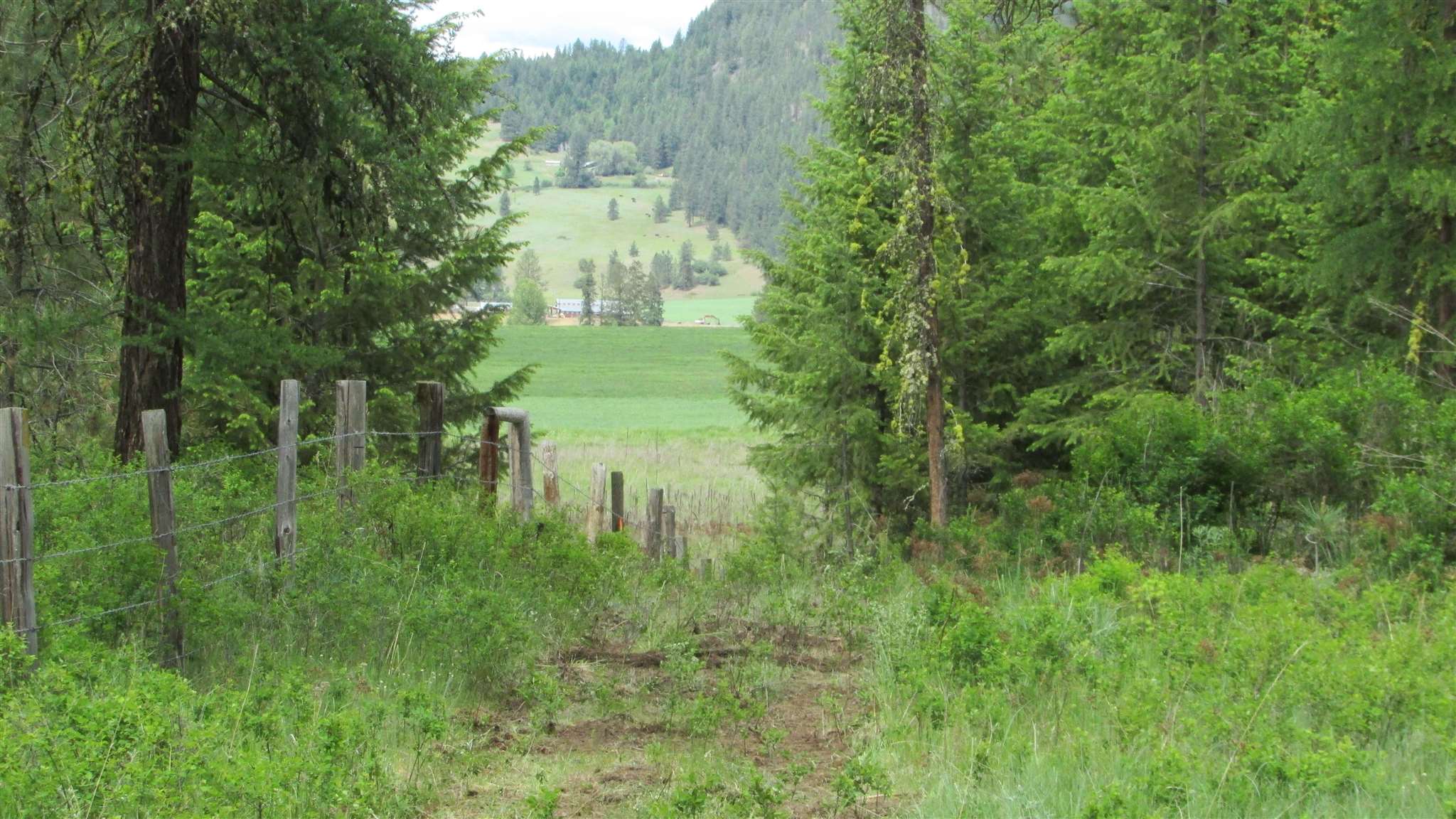 1393 Williams Lake Road Evans, WA 99126 - Photo 9 of 16