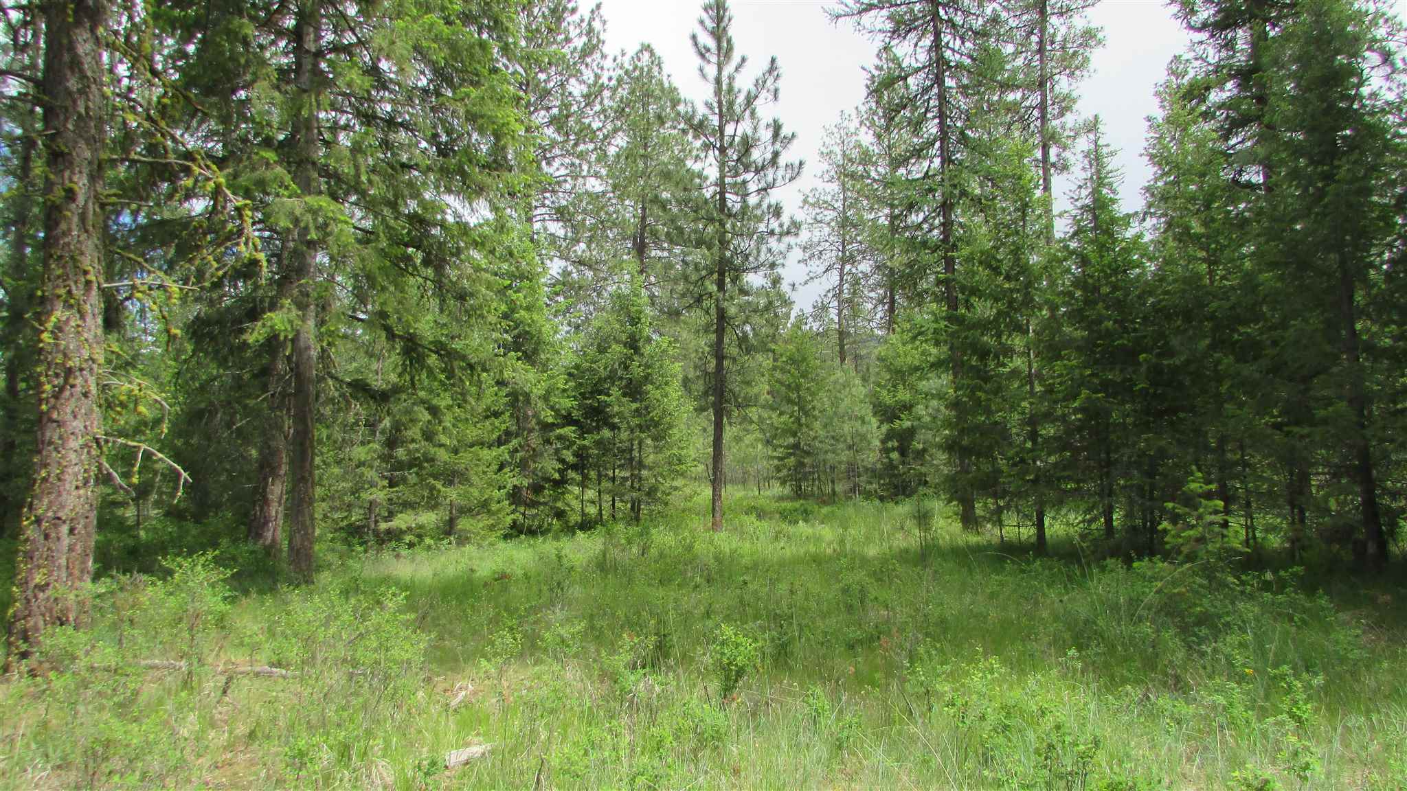 1393 Williams Lake Road Evans, WA 99126 - Photo 10 of 16