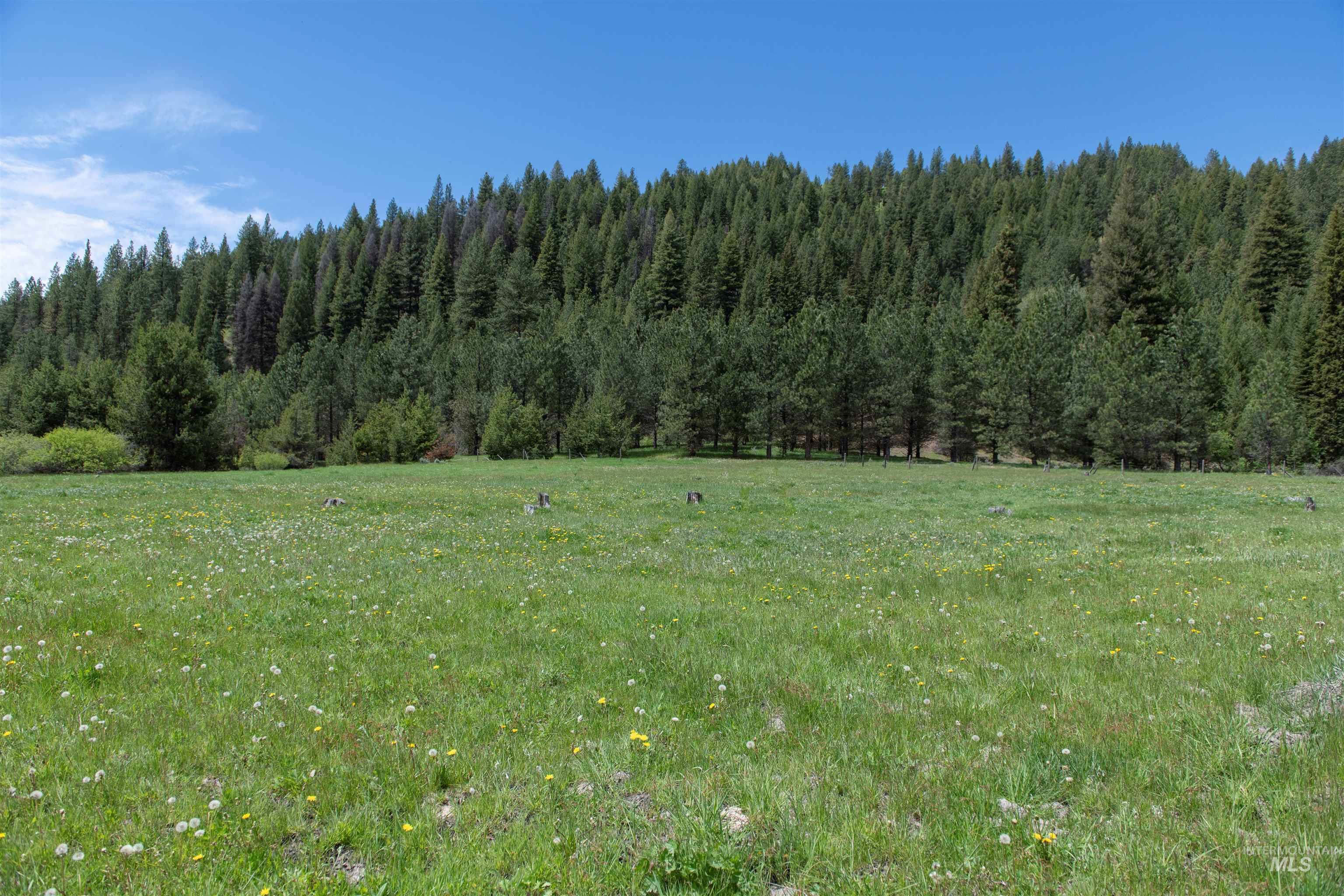 27 Clear Creek Road Cascade, ID 83611 - Photo 5 of 10