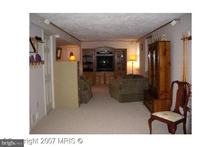 11216 Handlebar Road Reston, VA 20191 - Photo 12 of 20 Recreation Room