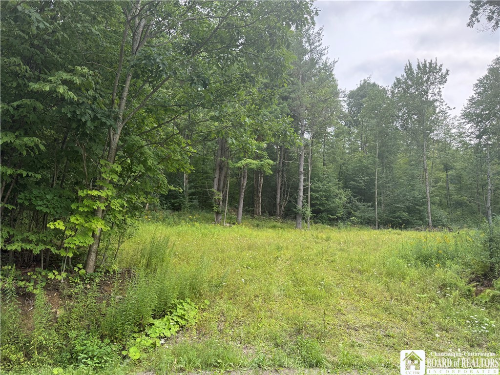 Morgan Hollow Road Olean City, NY 14760 - Photo 1 of 7 Gallery Image 1