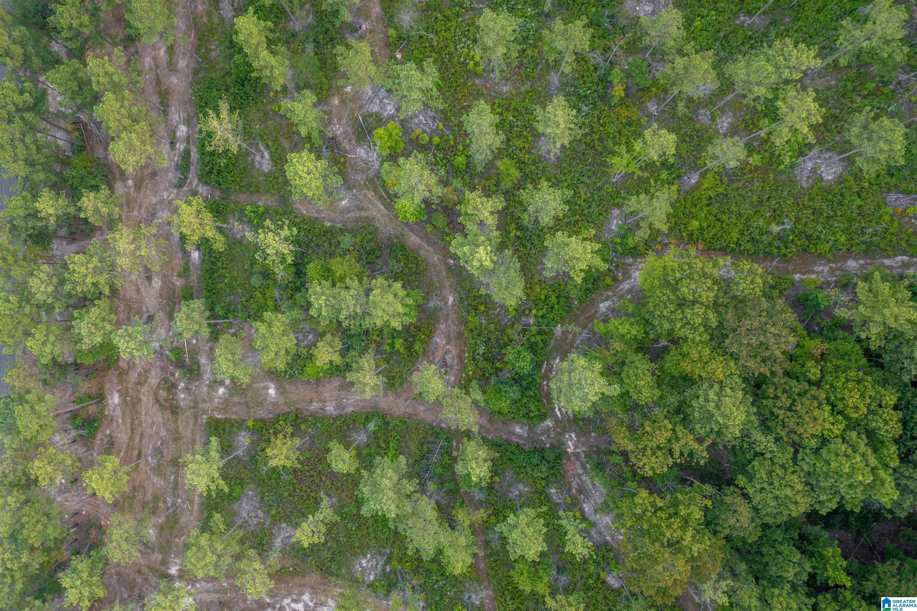 2735 Greensport Road Ohatchee, AL 36271 - Photo 8 of 10