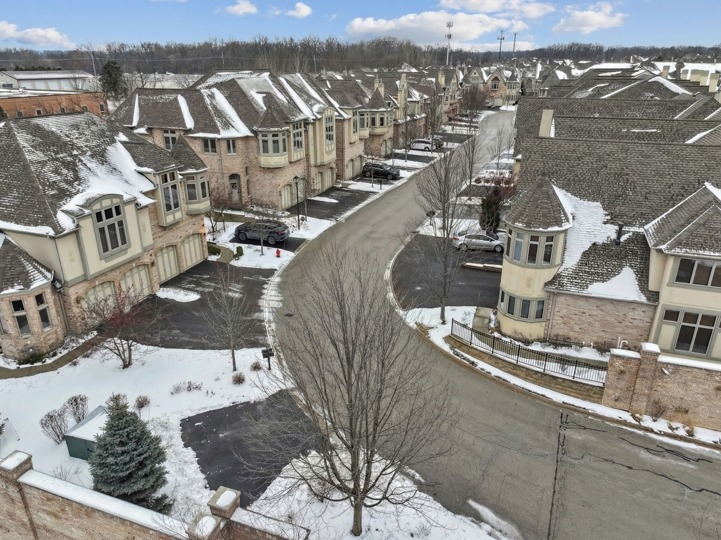 1407 Rue Paris Place Inverness, IL 60067 - Photo 34 of 38 a picture of building with view of city