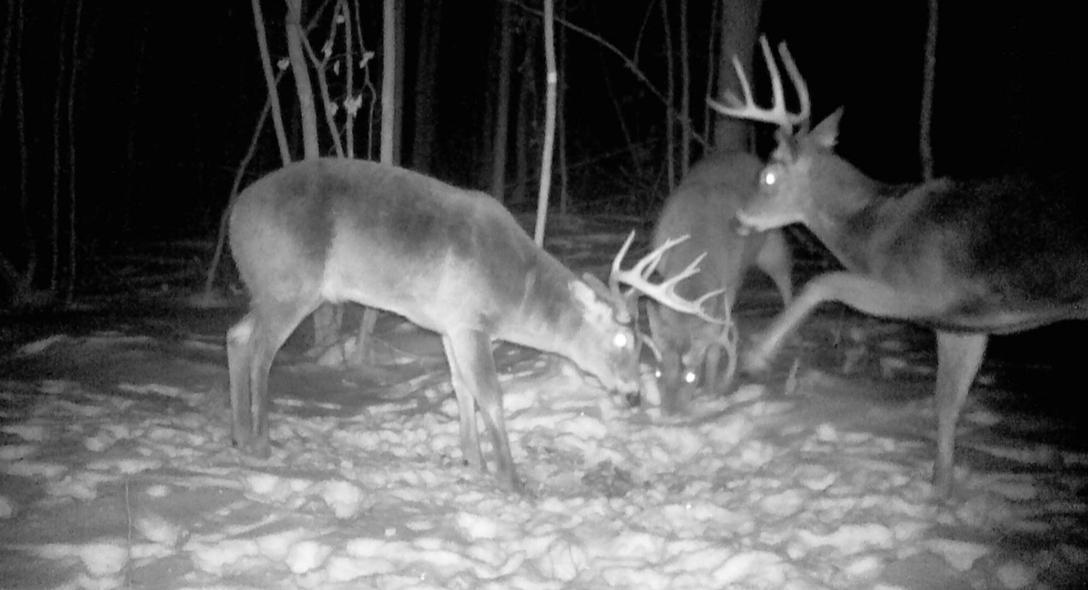 26904 Cedar Road Cushing, MN 56443 - Photo 4 of 65