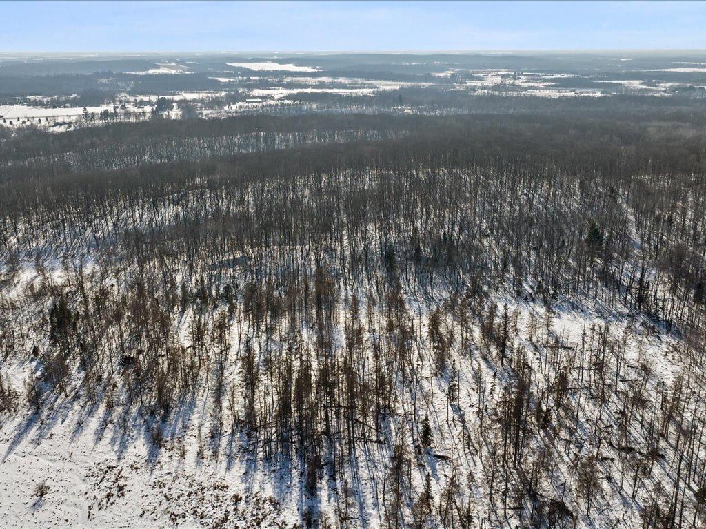 26904 Cedar Road Cushing, MN 56443 - Photo 45 of 65