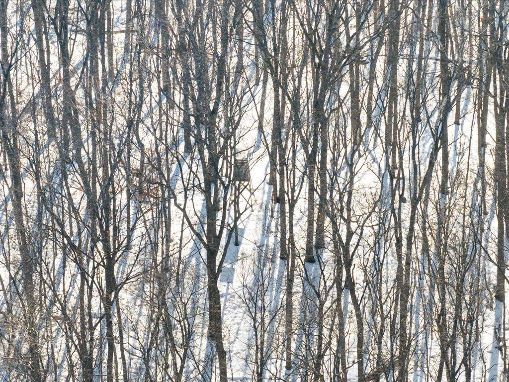 26904 Cedar Road Cushing, MN 56443 - Photo 50 of 65