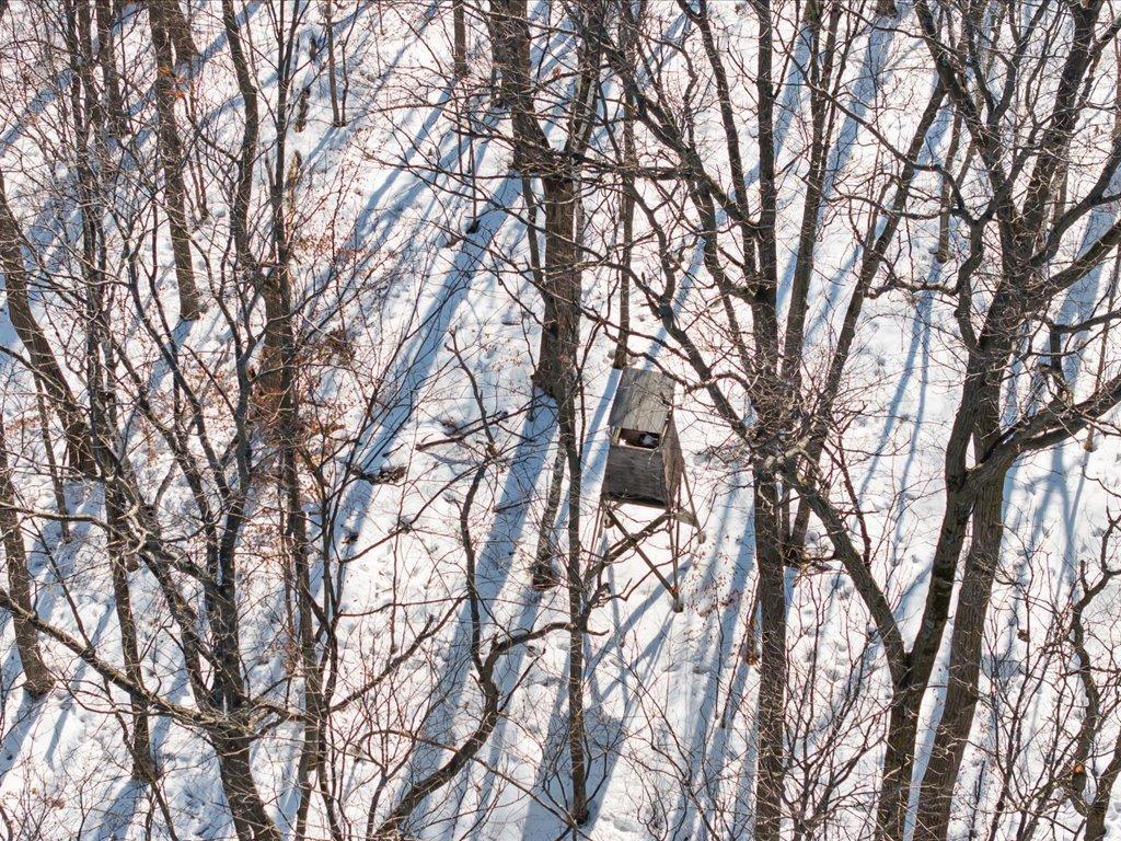 26904 Cedar Road Cushing, MN 56443 - Photo 53 of 65