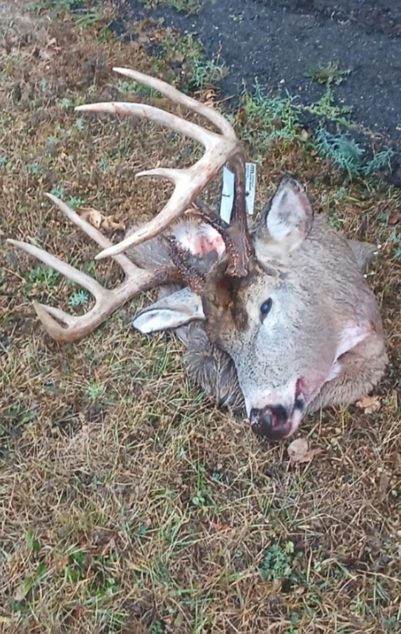 26904 Cedar Road Cushing, MN 56443 - Photo 57 of 65