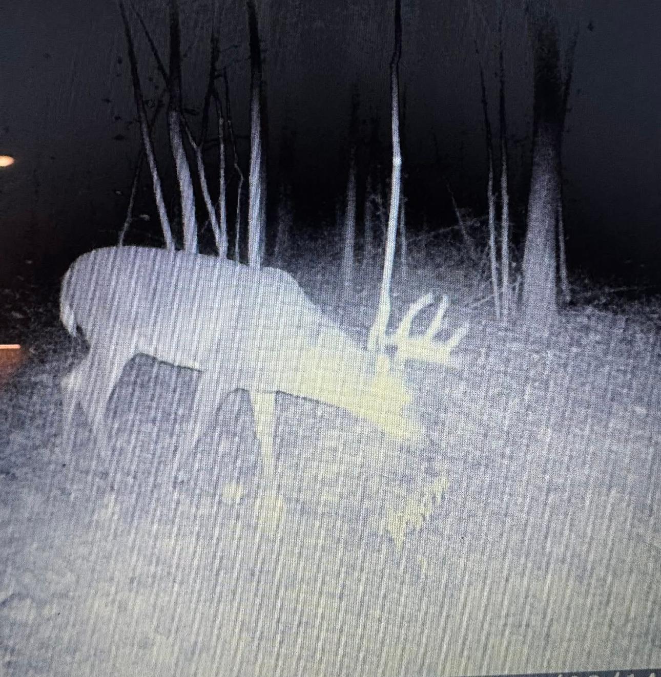 26904 Cedar Road Cushing, MN 56443 - Photo 60 of 65