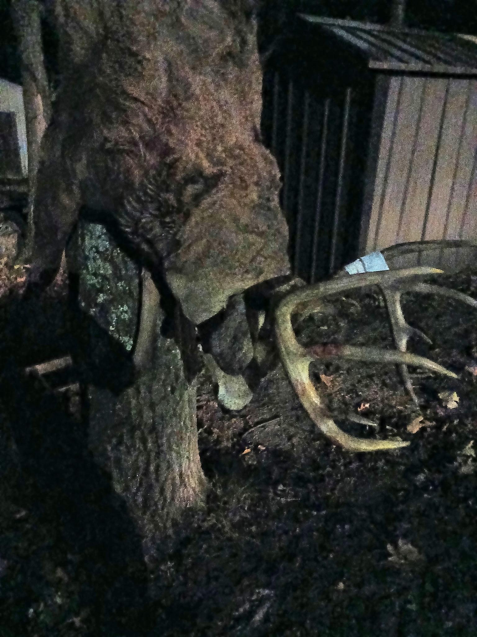 26904 Cedar Road Cushing, MN 56443 - Photo 63 of 65